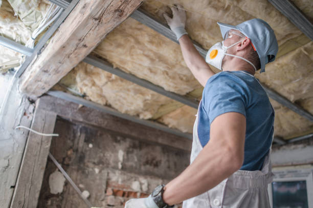Best Eco-Friendly Insulation in Momence, IL