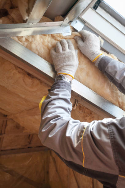 Best Blown-in Insulation in Momence, IL